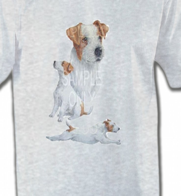 Fox Terrier (G)