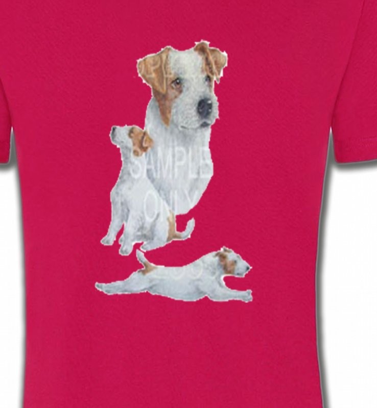 Fox Terrier (G)