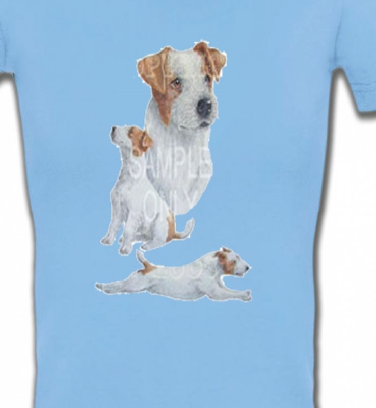 Fox Terrier (G)