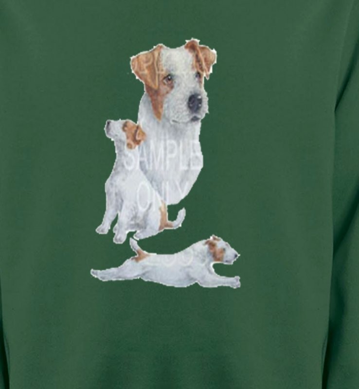 Fox Terrier (G)