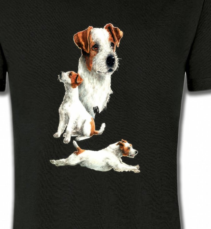Fox Terrier Chiot