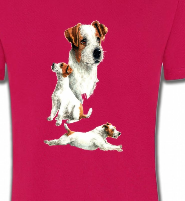 Fox Terrier Chiot