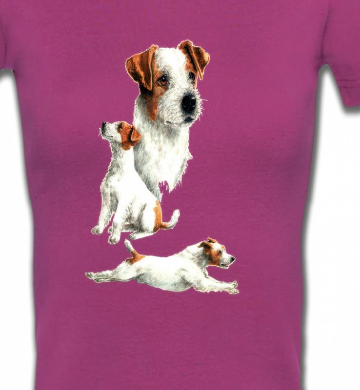 Fox Terrier Chiot