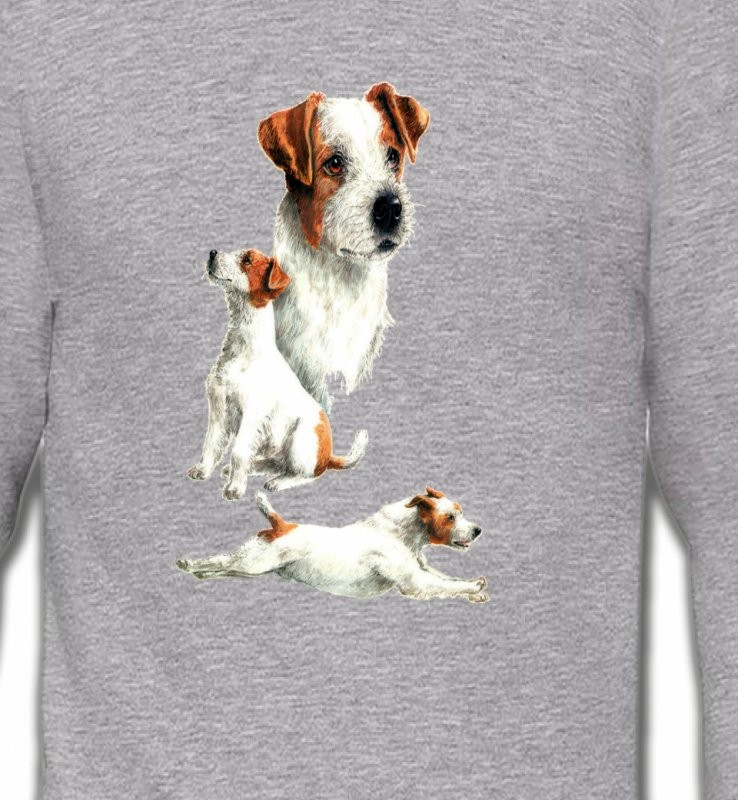 Fox Terrier Chiot