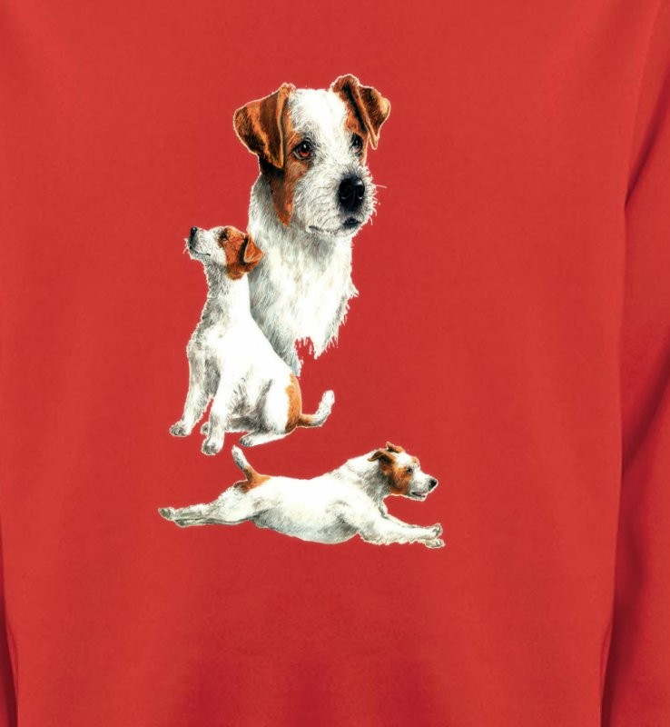 Fox Terrier Chiot