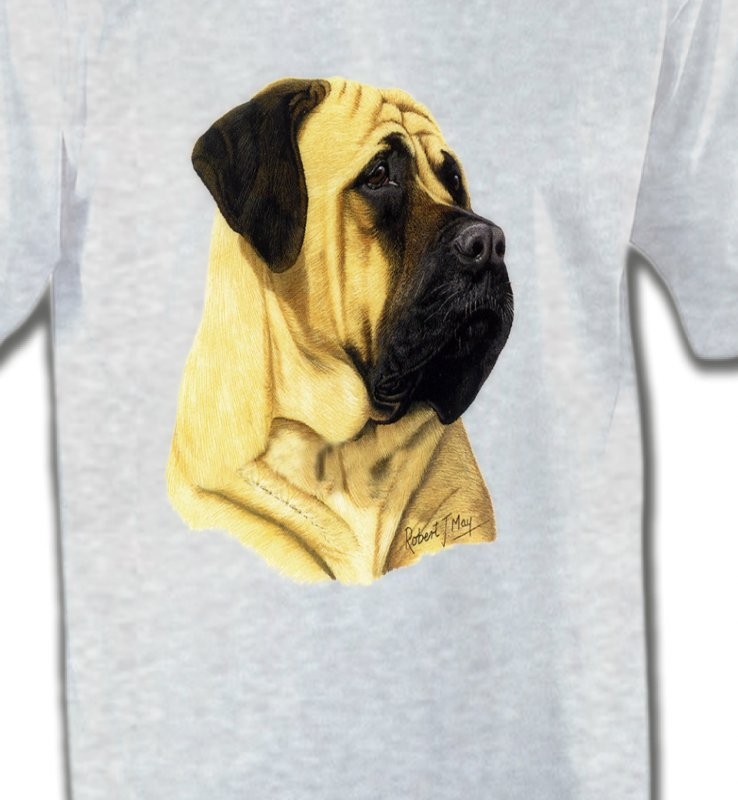 Mastiff (B)