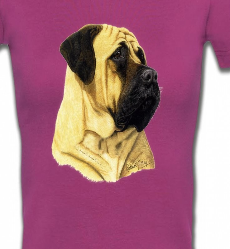 Mastiff (B)