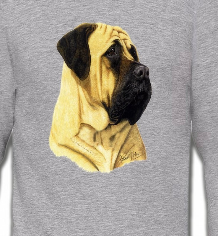 Mastiff (B)