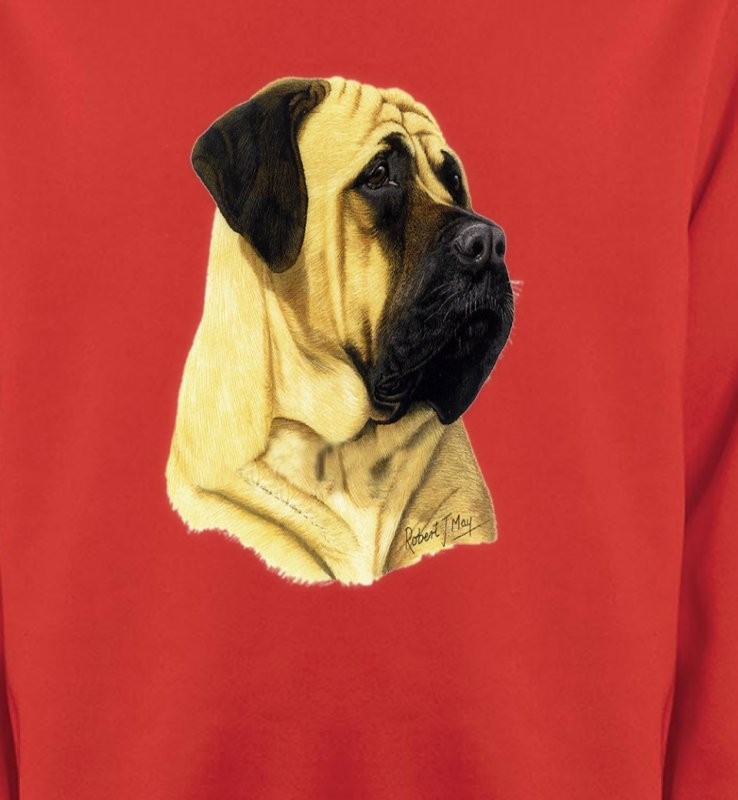 Mastiff (B)