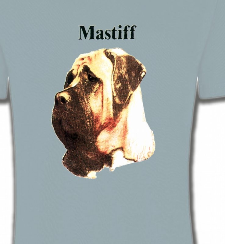 Mastiff (C)