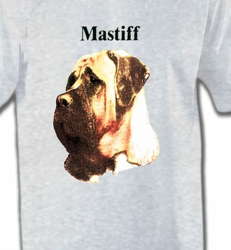 Mastiff (C)