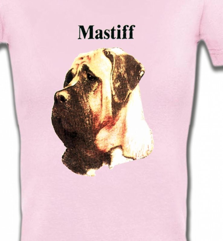 Mastiff (C)