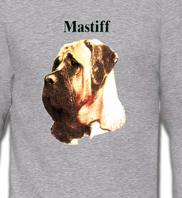 Mastiff (C)