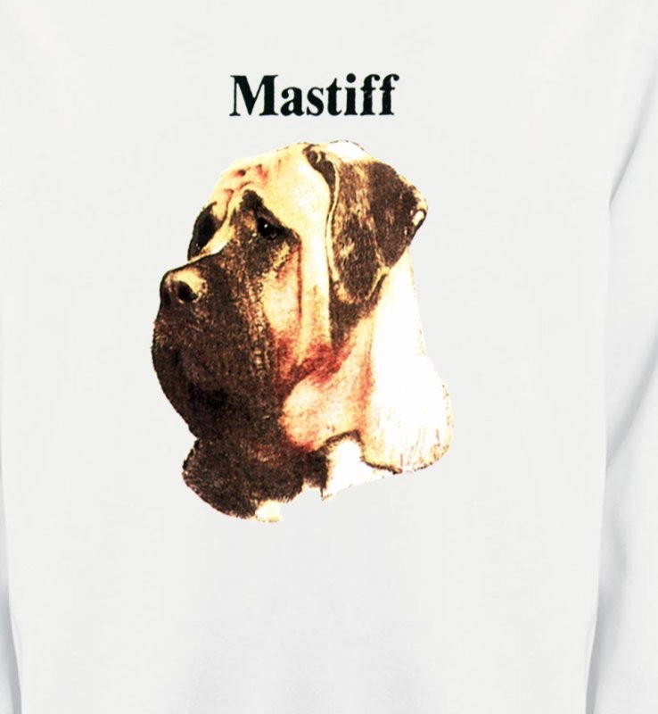 Mastiff (C)