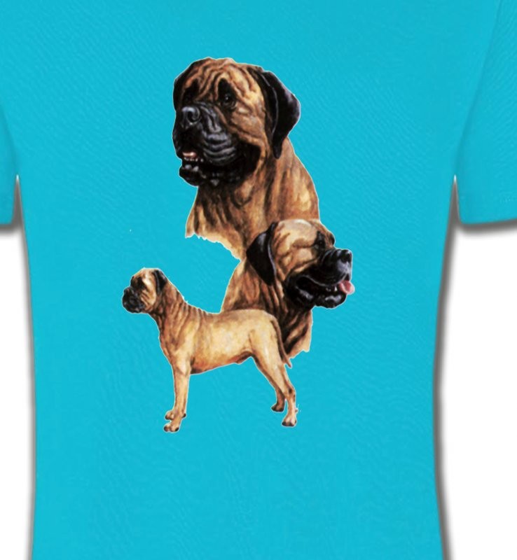 Mastiff (D)