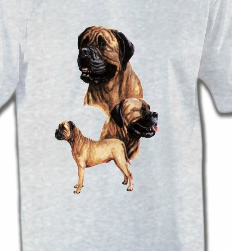Mastiff (D)