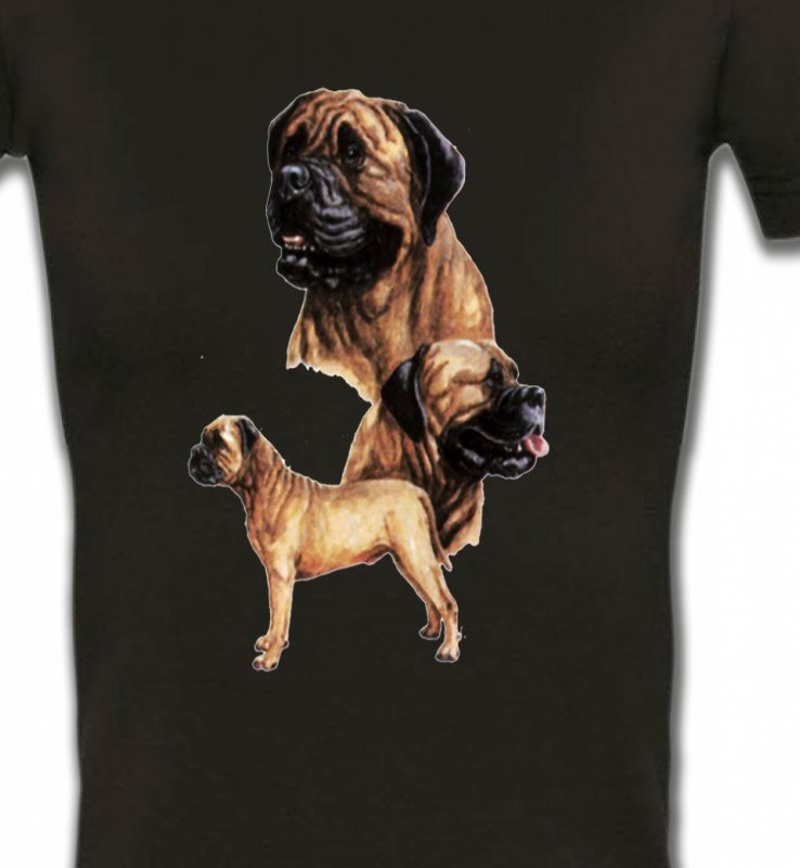 Mastiff (D)