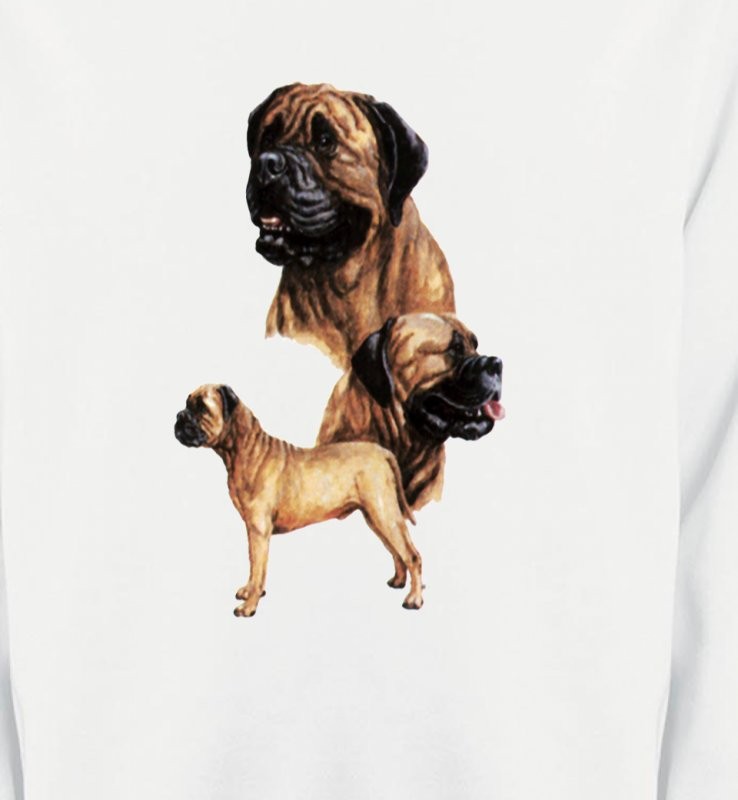 Mastiff (D)