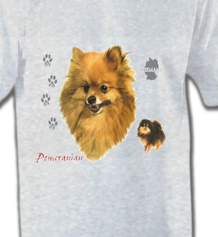 Spitz Poméranien (A)