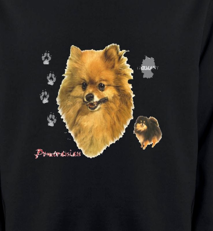 Spitz Poméranien (A)