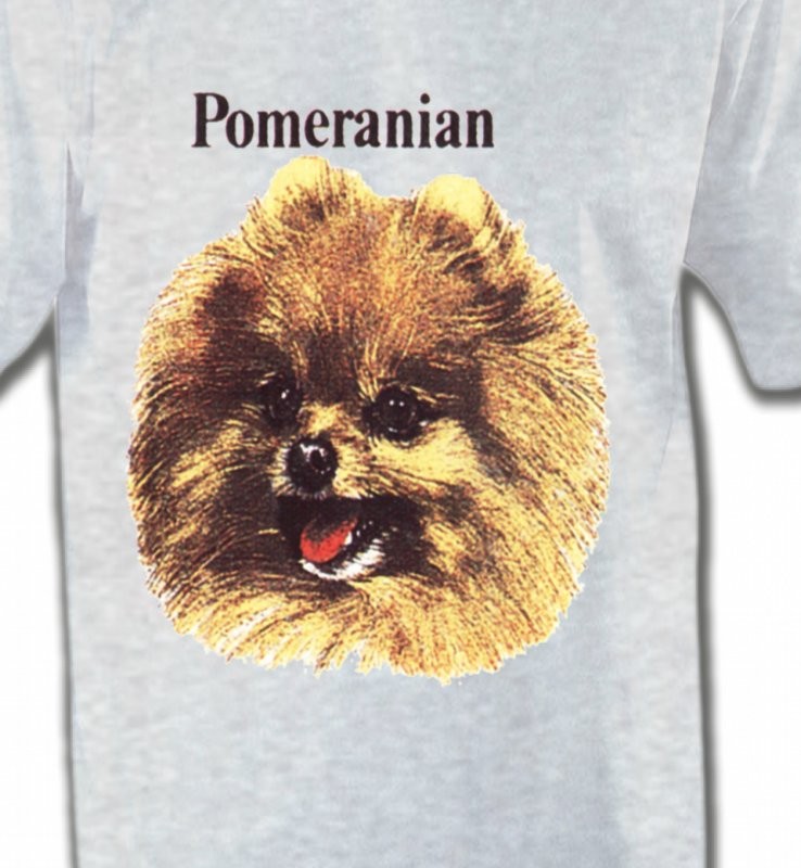 Spitz Poméranien (B)