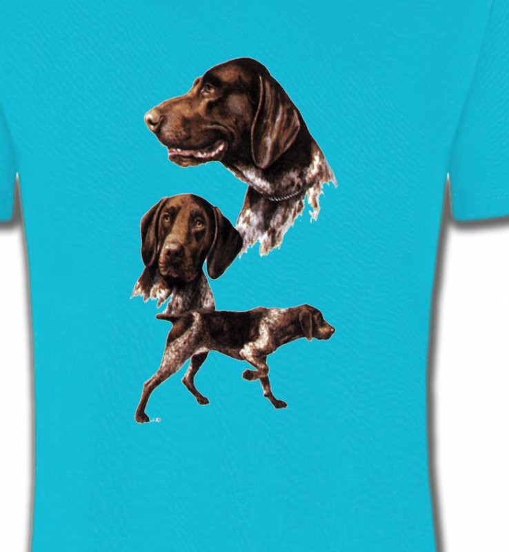 Pointer (D)
