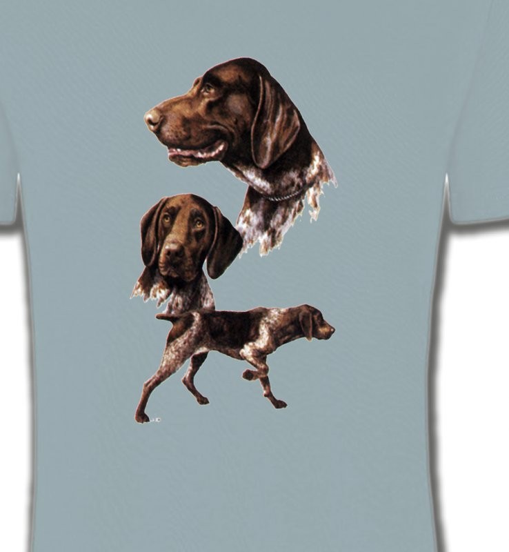 Pointer (D)
