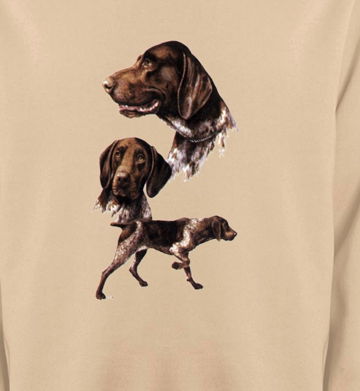 Pointer (D)