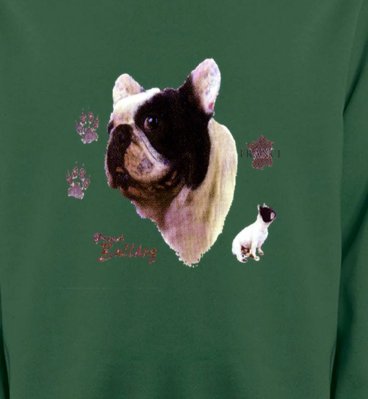 Bulldog Français (CF)