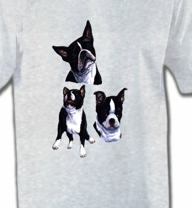 Bulldog Français noir et blanc (BF)