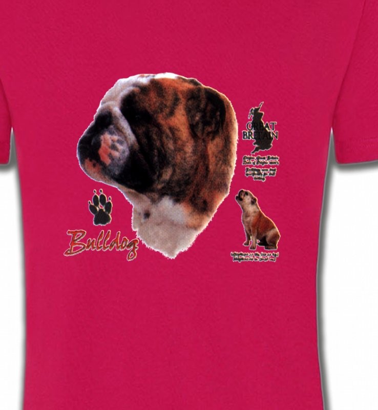 Bulldog Anglais (B)