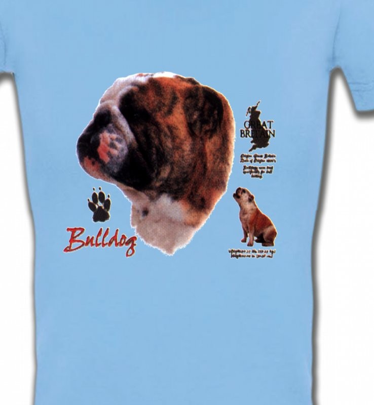 Bulldog Anglais (B)