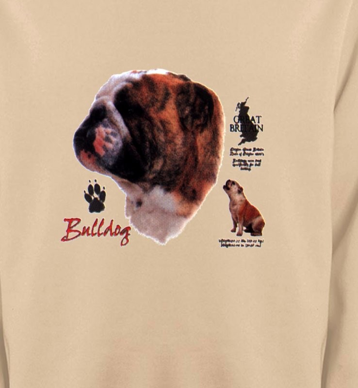 Bulldog Anglais (B)