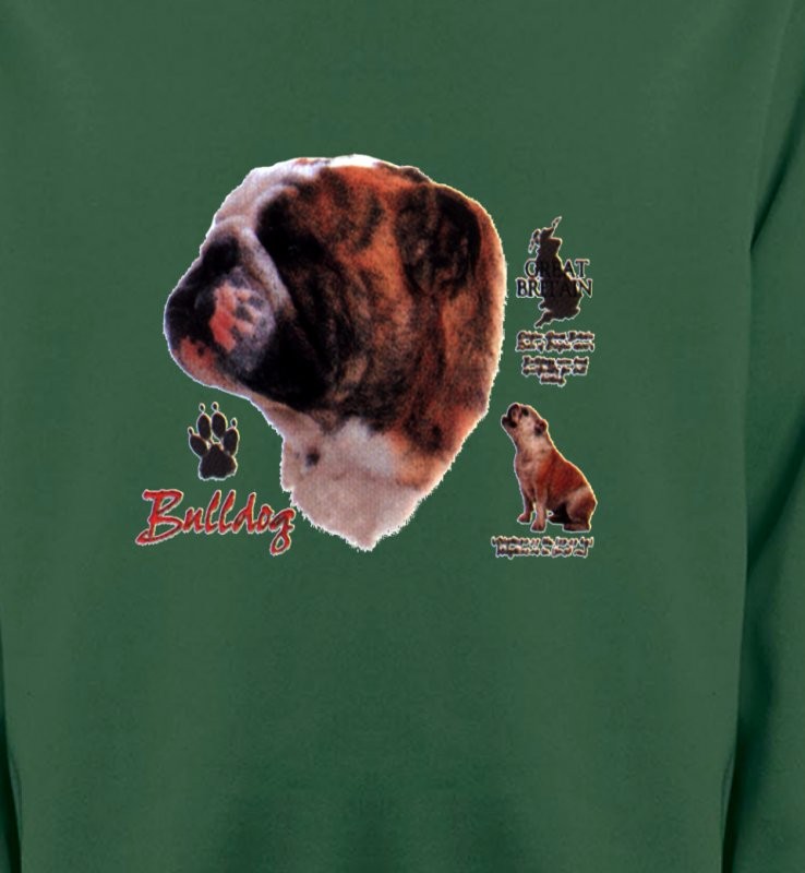 Bulldog Anglais (B)