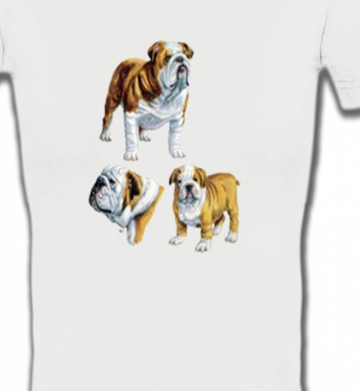 Bulldog Anglais (C)