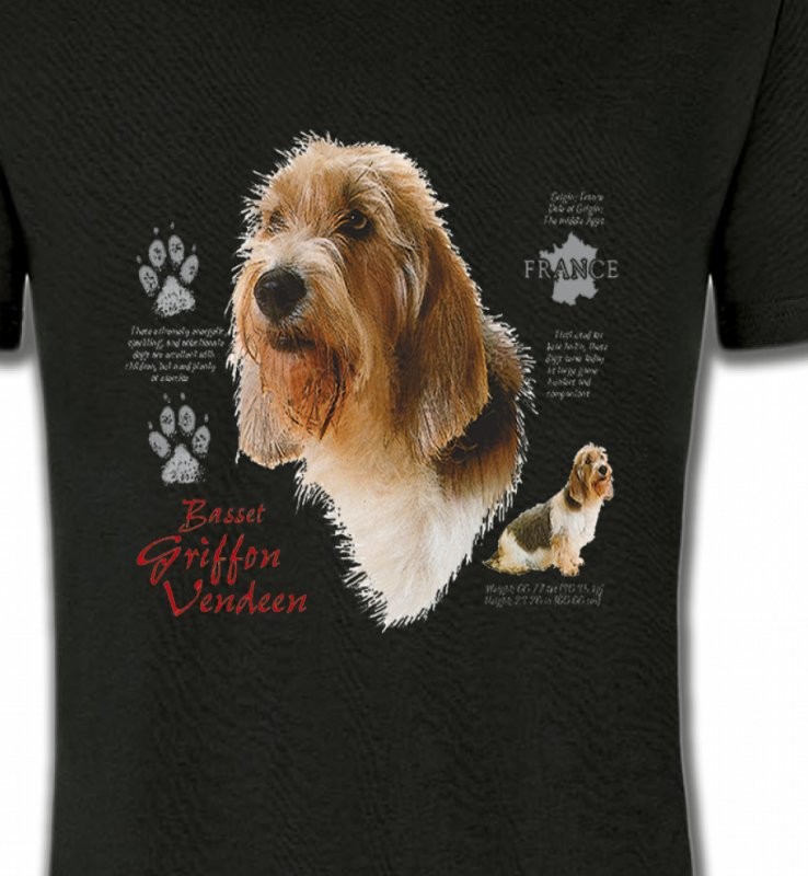Basset Hound Vendéen (G)