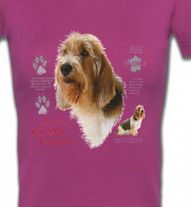 Basset Hound Vendéen (G)