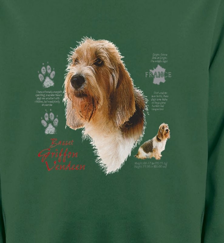 Basset Hound Vendéen (G)