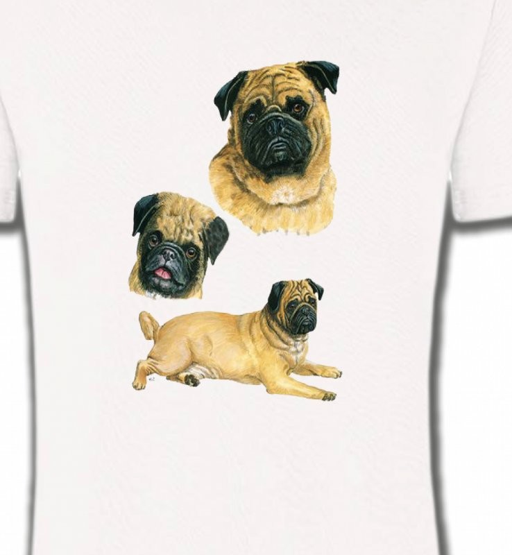 Carlin Pug (A)