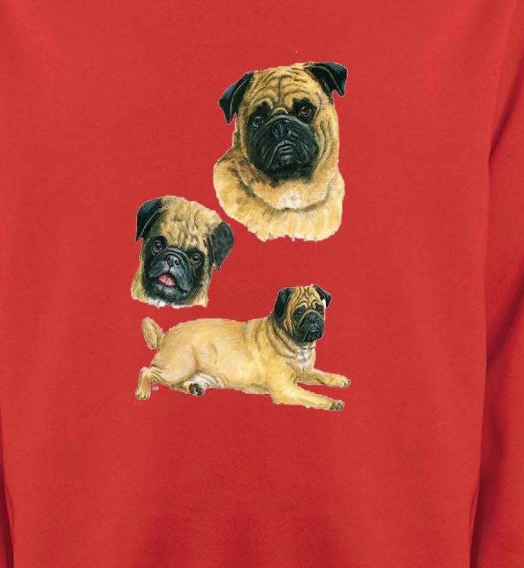 Carlin Pug (A)