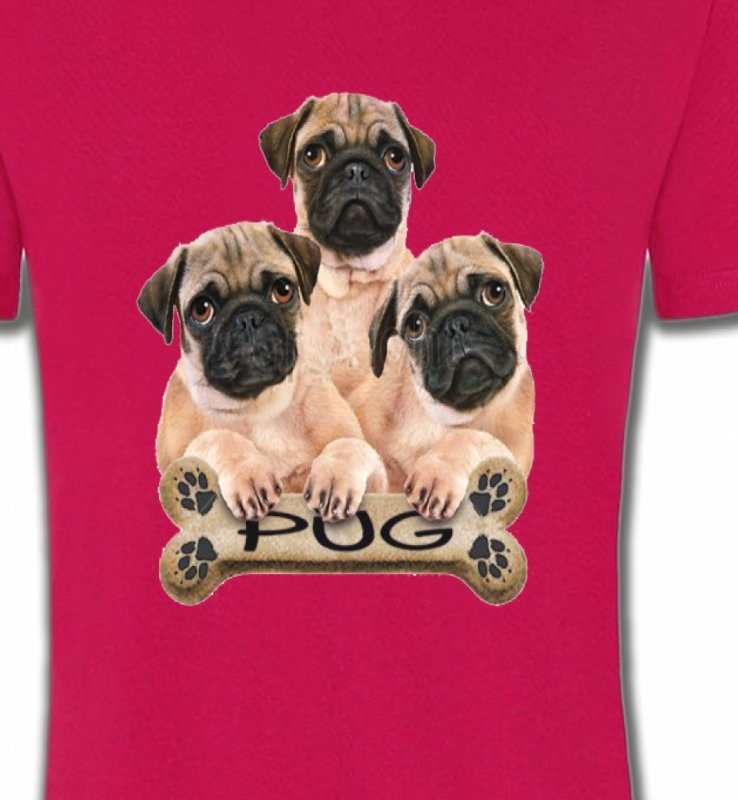 Carlin Pug (B)