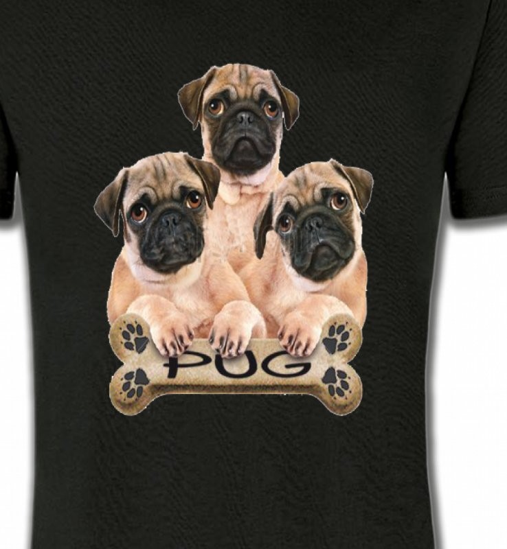 Carlin Pug (B)