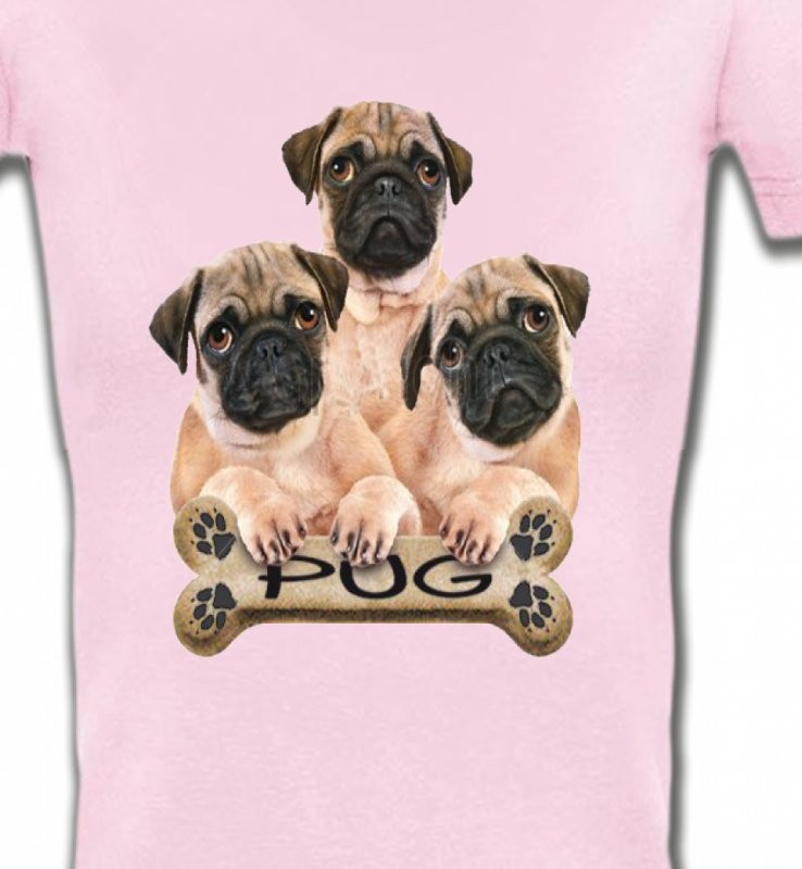 Carlin Pug (B)