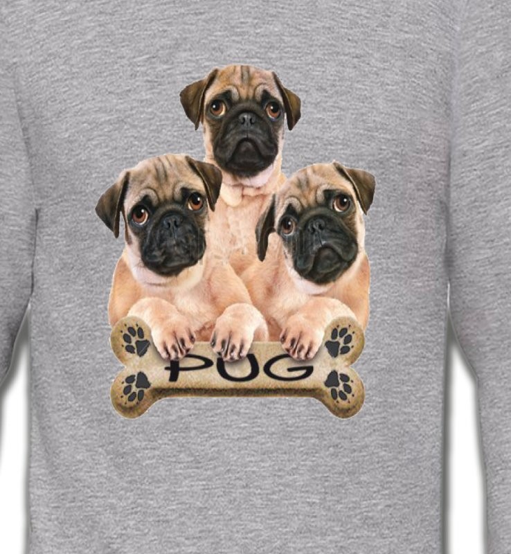 Carlin Pug (B)