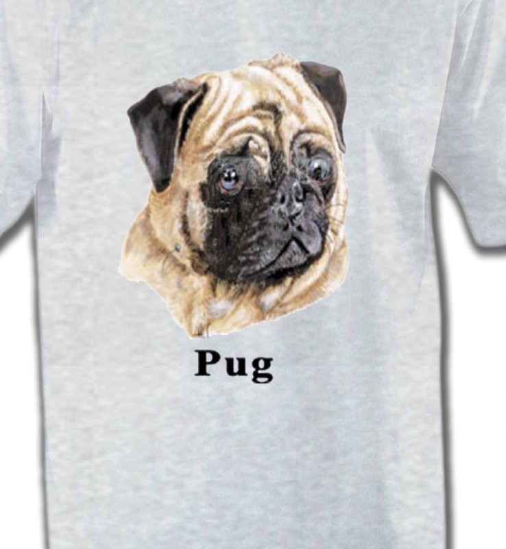Carlin Pug (C)
