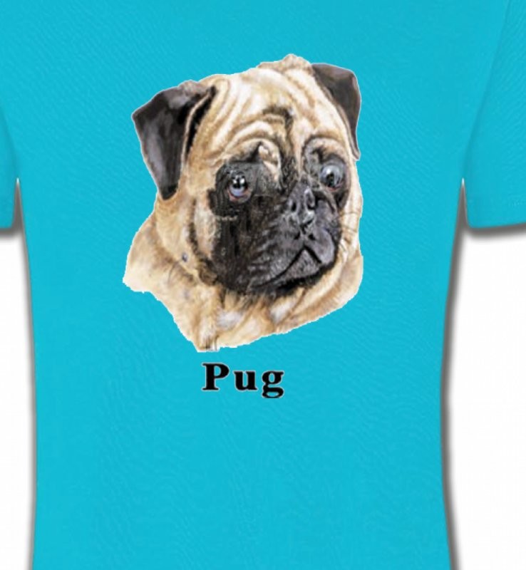 Carlin Pug (C)