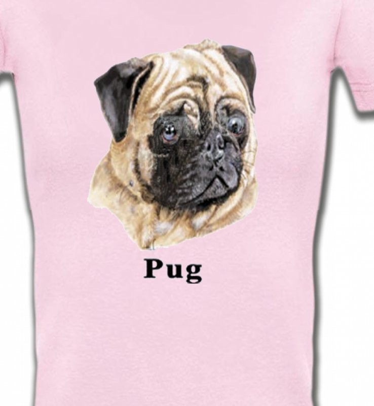 Carlin Pug (C)
