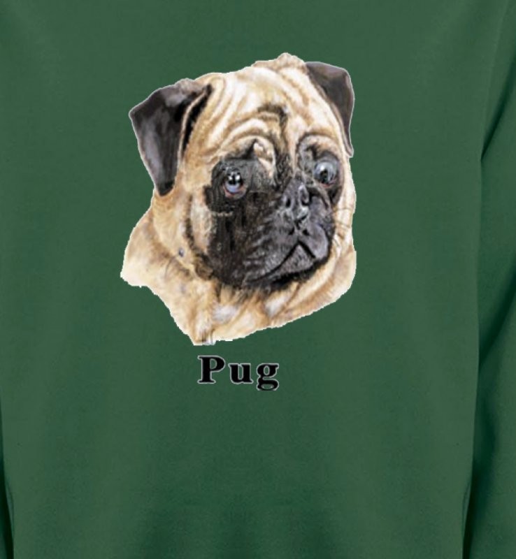 Carlin Pug (C)