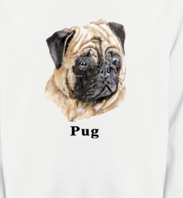 Carlin Pug (C)