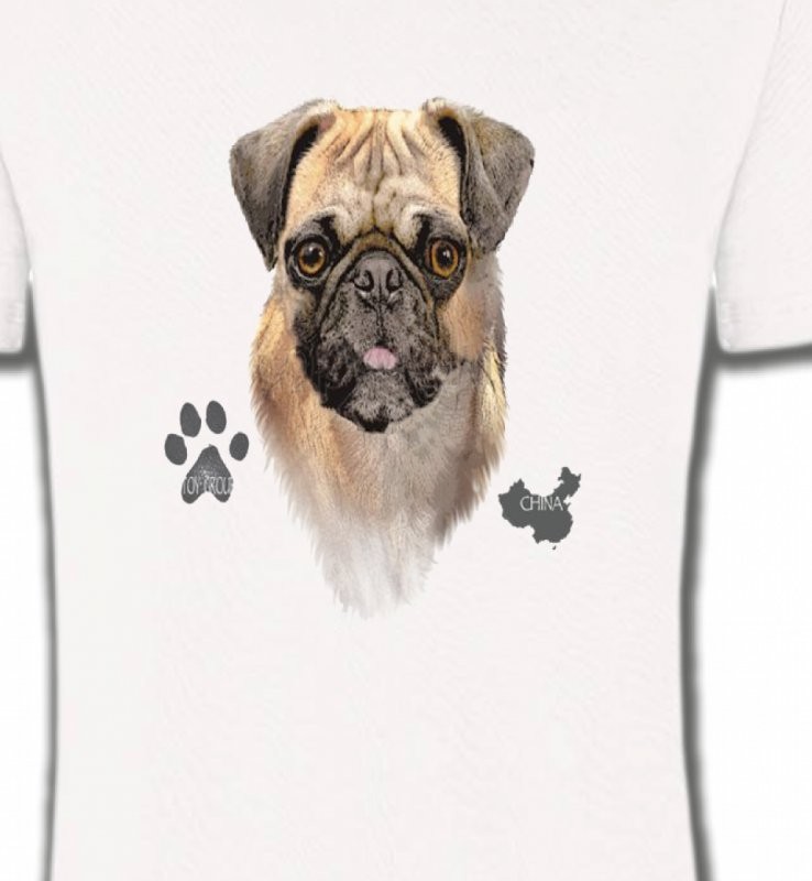 Carlin Pug (E)